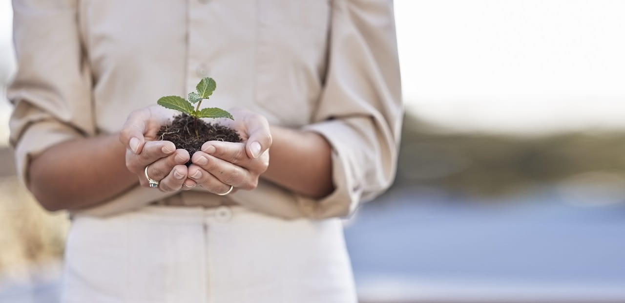Woman holding a small green plant with soil in cupped hands.